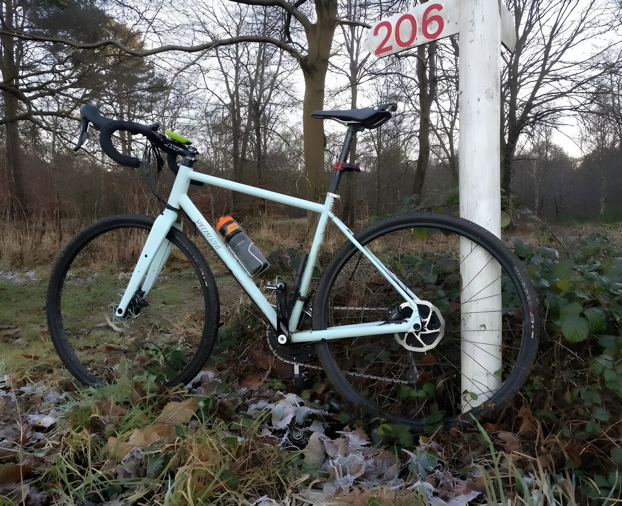Specialized Sequoia Elite steel adventure bike in pale green leaning on a white post in frosty woodland.
