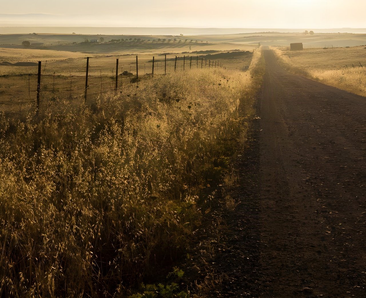 Dirt road beside a wire fence and golden grass in hazy early light, the endless gravel road the UK lacks.