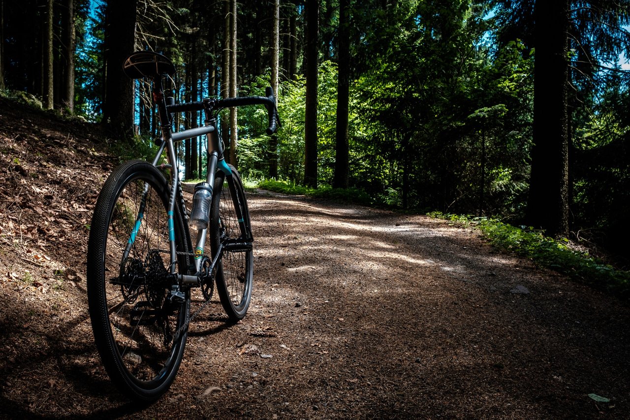 Drop-bar gravel bike parked on a sunlit forest track, the sort of riding a gravel beginner can expect.