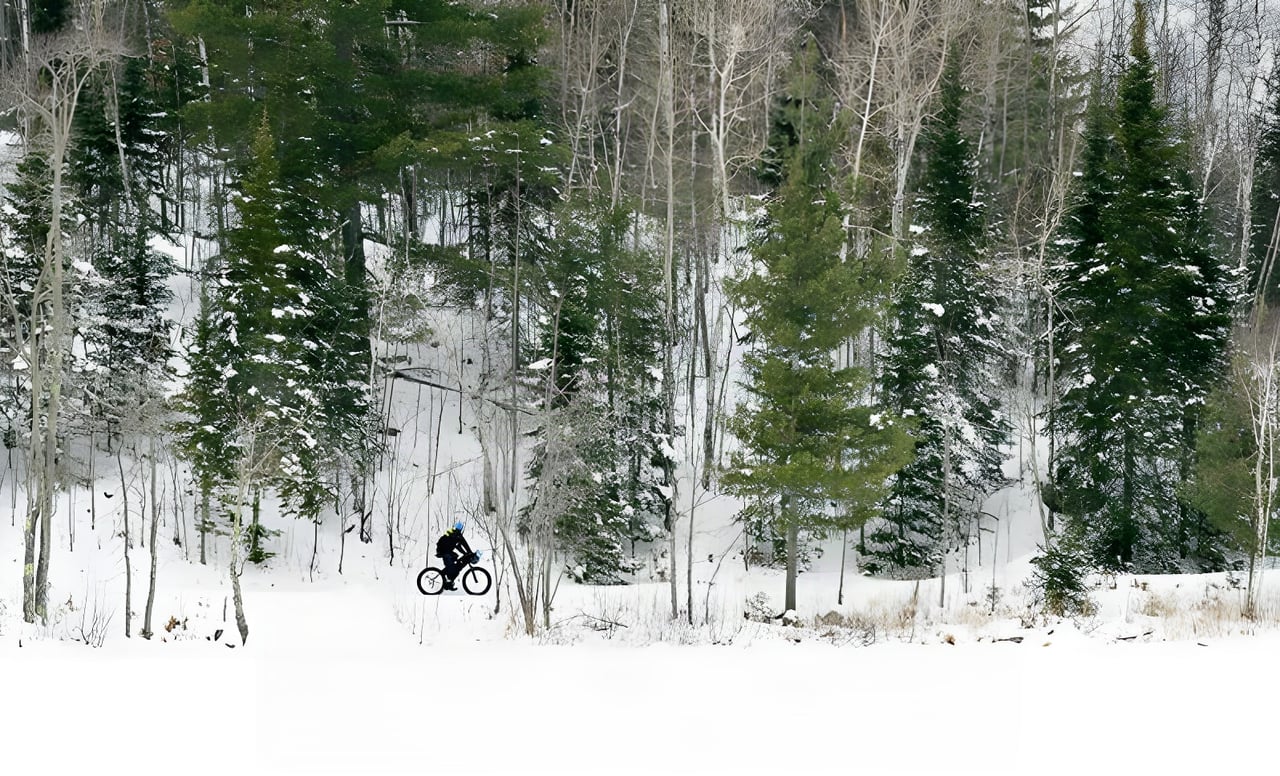 Fatbike rider on a snowy forest trail during the Arrowhead 135 winter ultra in northern Minnesota.