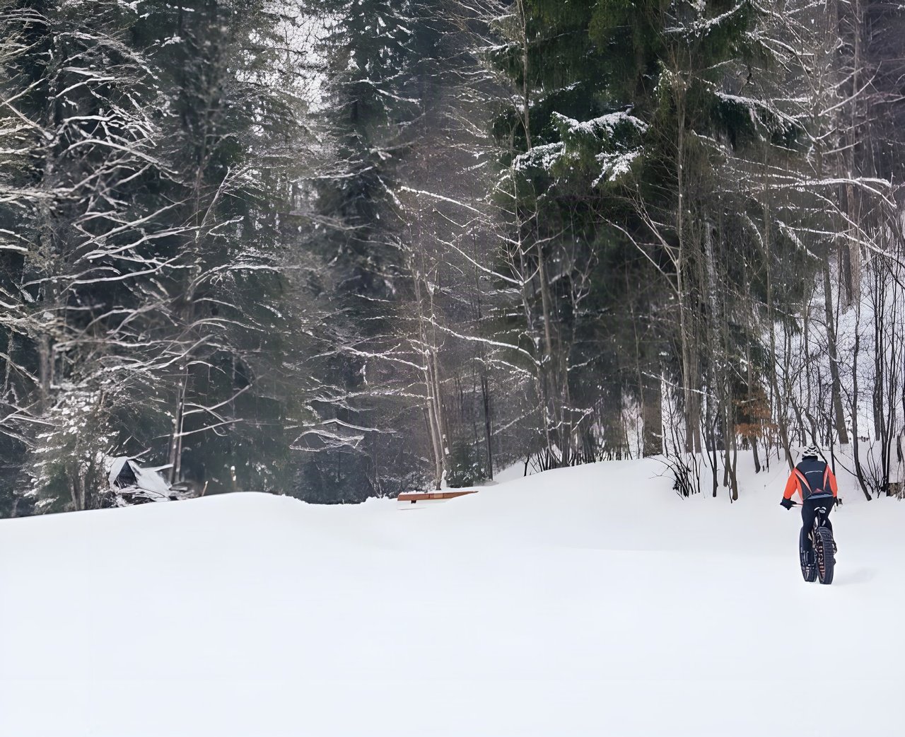 Fatbike rider in an orange jacket crosses deep snow beside a forest at the Snow Bike Festival in Gstaad.