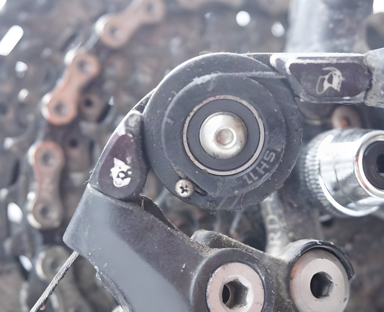 Wolftooth Tanpan cable pulley fitted to a Shimano rear mech, close up with the chain and cassette behind.