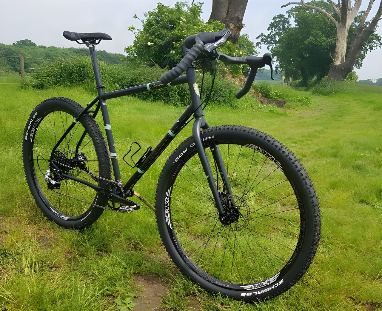 Light Blue Darwin One By MT steel bike with Halo Vapour wheels and drop bars, parked on a grass track.