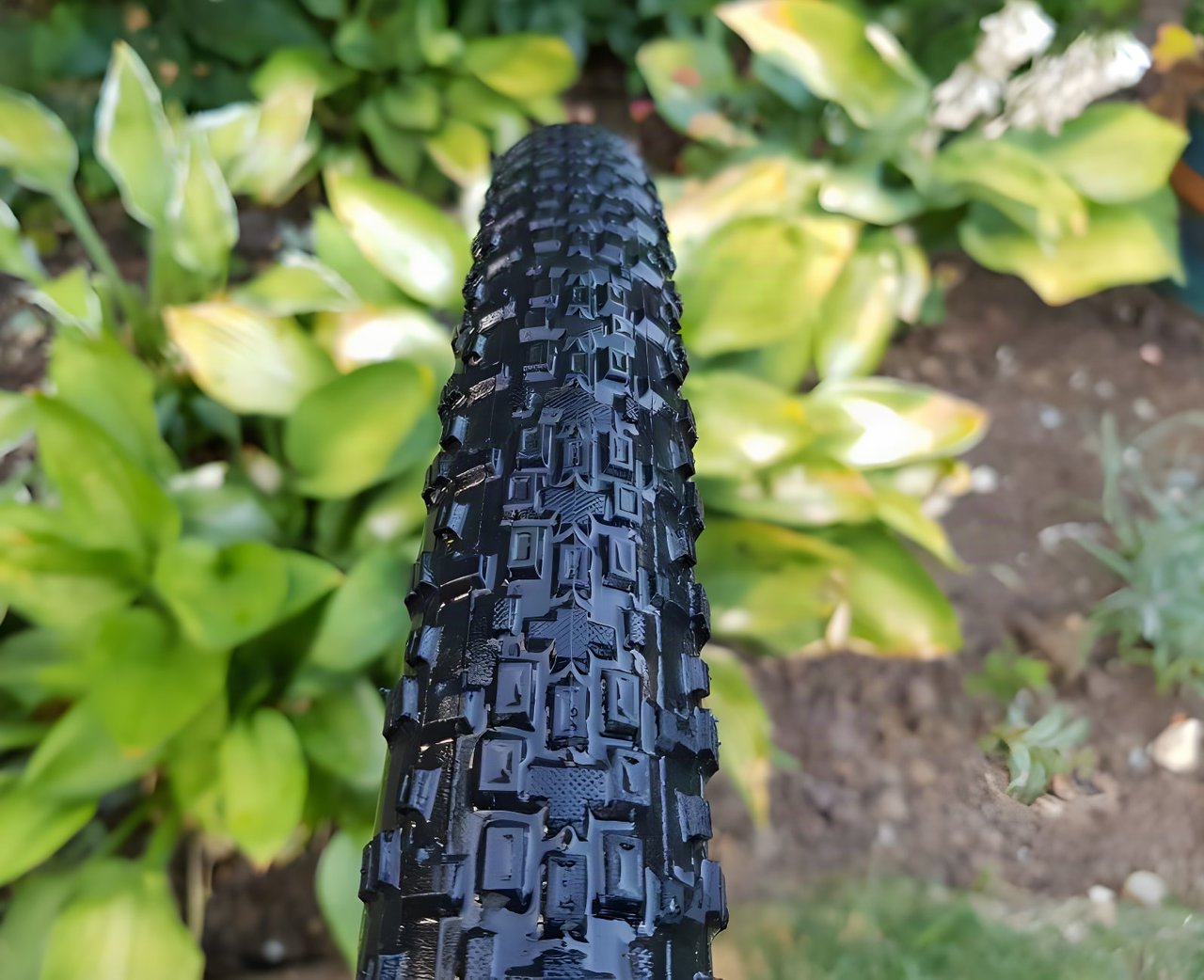 Close-up of the tread on a Maxxis Rambler 700x40 gravel tyre, with garden foliage behind.