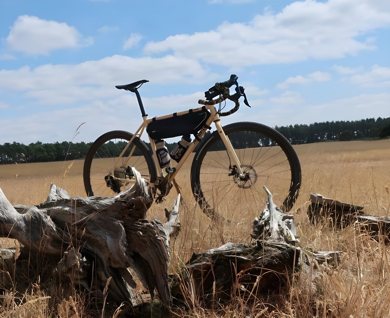 Fearless Vulture in quicksand with a frame bag stands among dead tree roots on a parched Suffolk field.