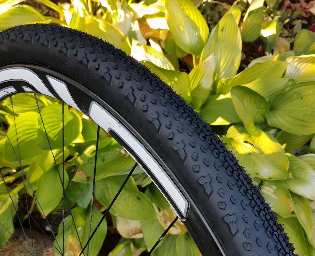 Goodyear Connector Ultimate tubeless gravel tyre on a wheel, close-up of the tightly spaced tread knobs.