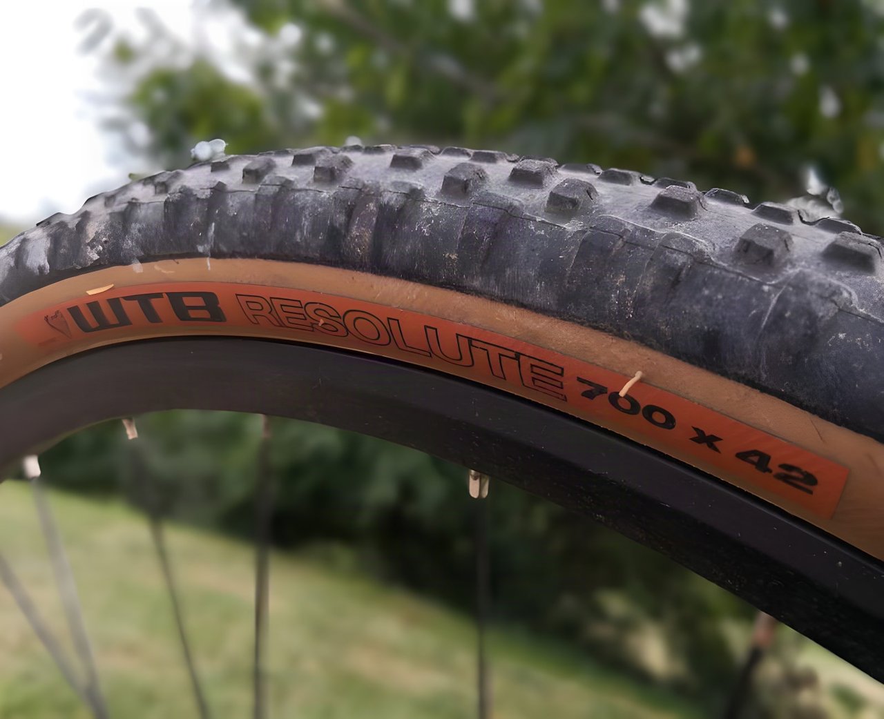 WTB Resolute 700 x 42 gravel tyre with tan sidewall and chunky tread, mounted on a bike outdoors.