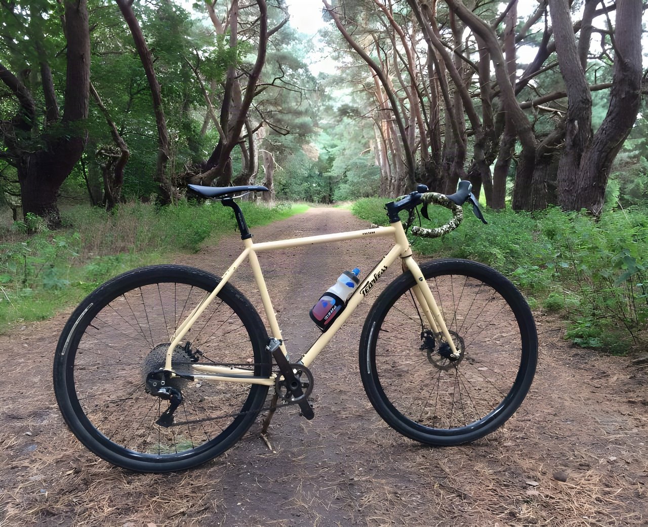 Cream Fearless Vulture gravel bike with camouflage bar tape on a sandy track between gnarled trees.