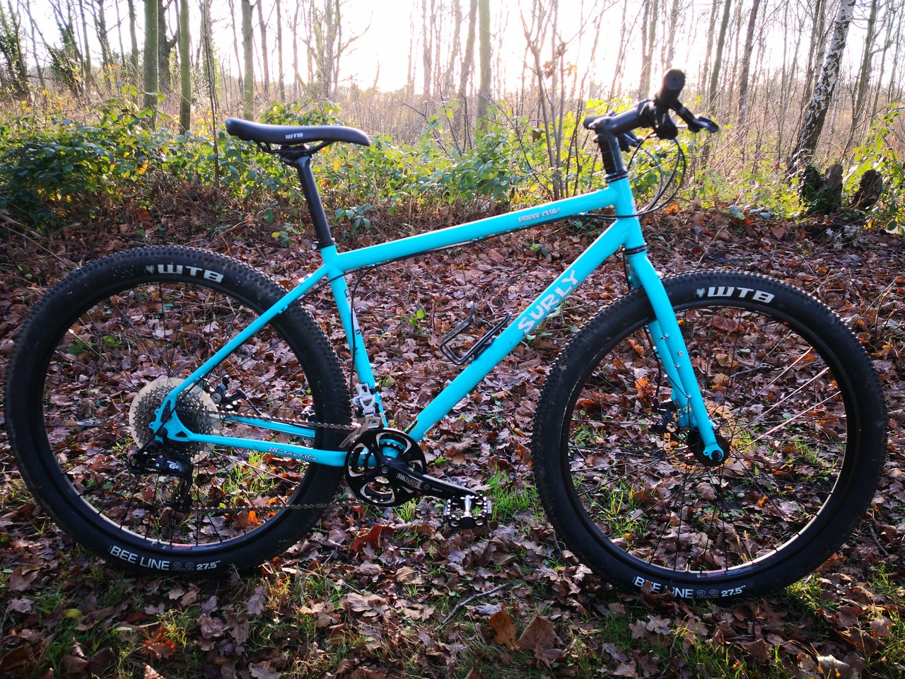 Surly Bridge Club flat-bar bike in teal on WTB Beeline 2.2 tyres, parked among fallen leaves in woodland.