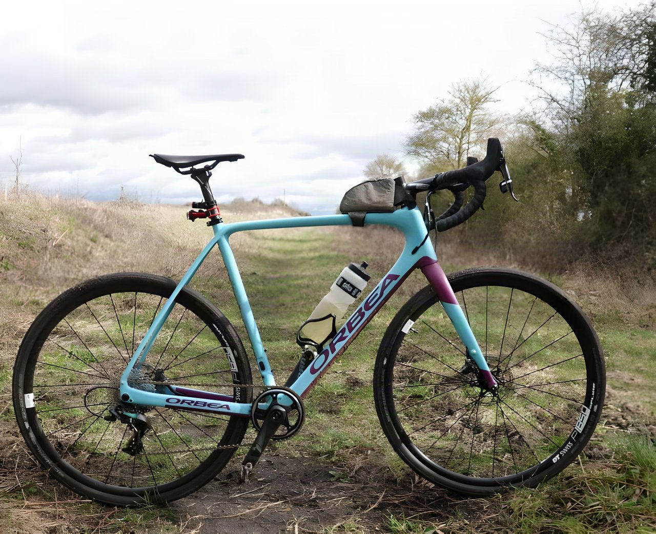 Orbea Terra M21-D 19 gravel bike in light blue and purple, parked on a grassy track.