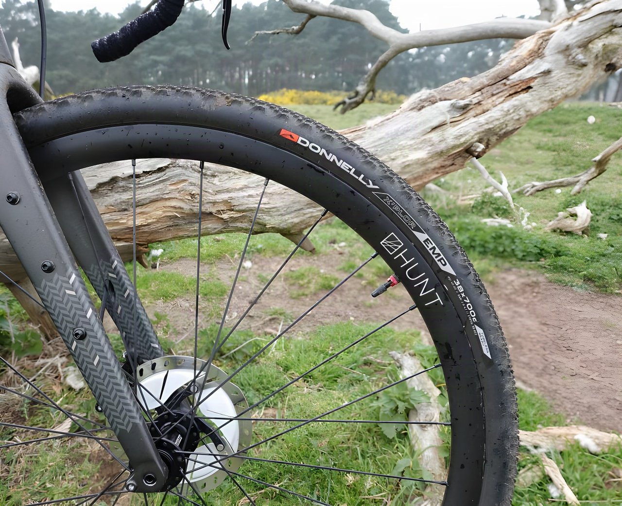 Donnelly X'Plor EMP 700x38 tyre fitted to a HUNT carbon wheel on a gravel bike, beside a fallen tree.