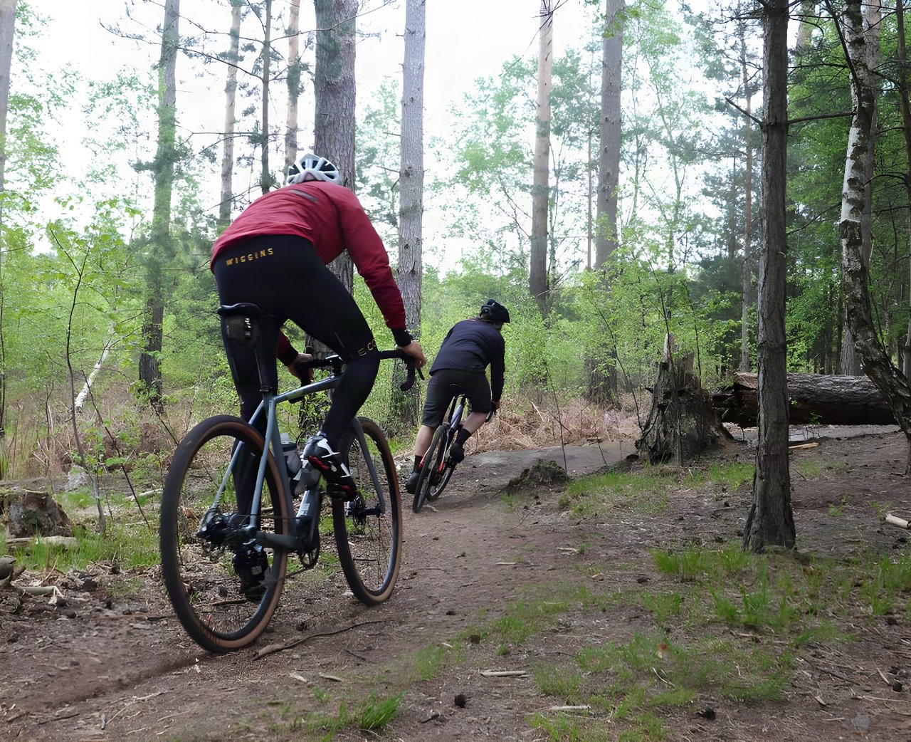 Two riders on gravel bikes follow a singletrack trail through pine woods in Swinley Forest ahead of the Gravel’duro.