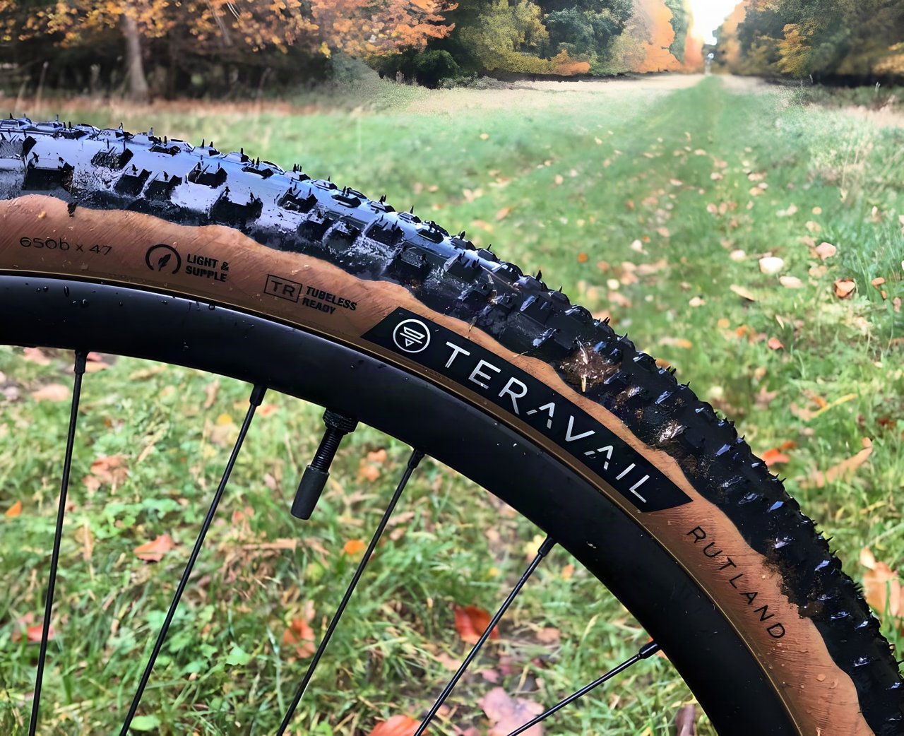 Teravail Rutland 650b x 47 Light & Supple tan-wall gravel tyre, its wet knobbly tread in close-up on an autumn track.