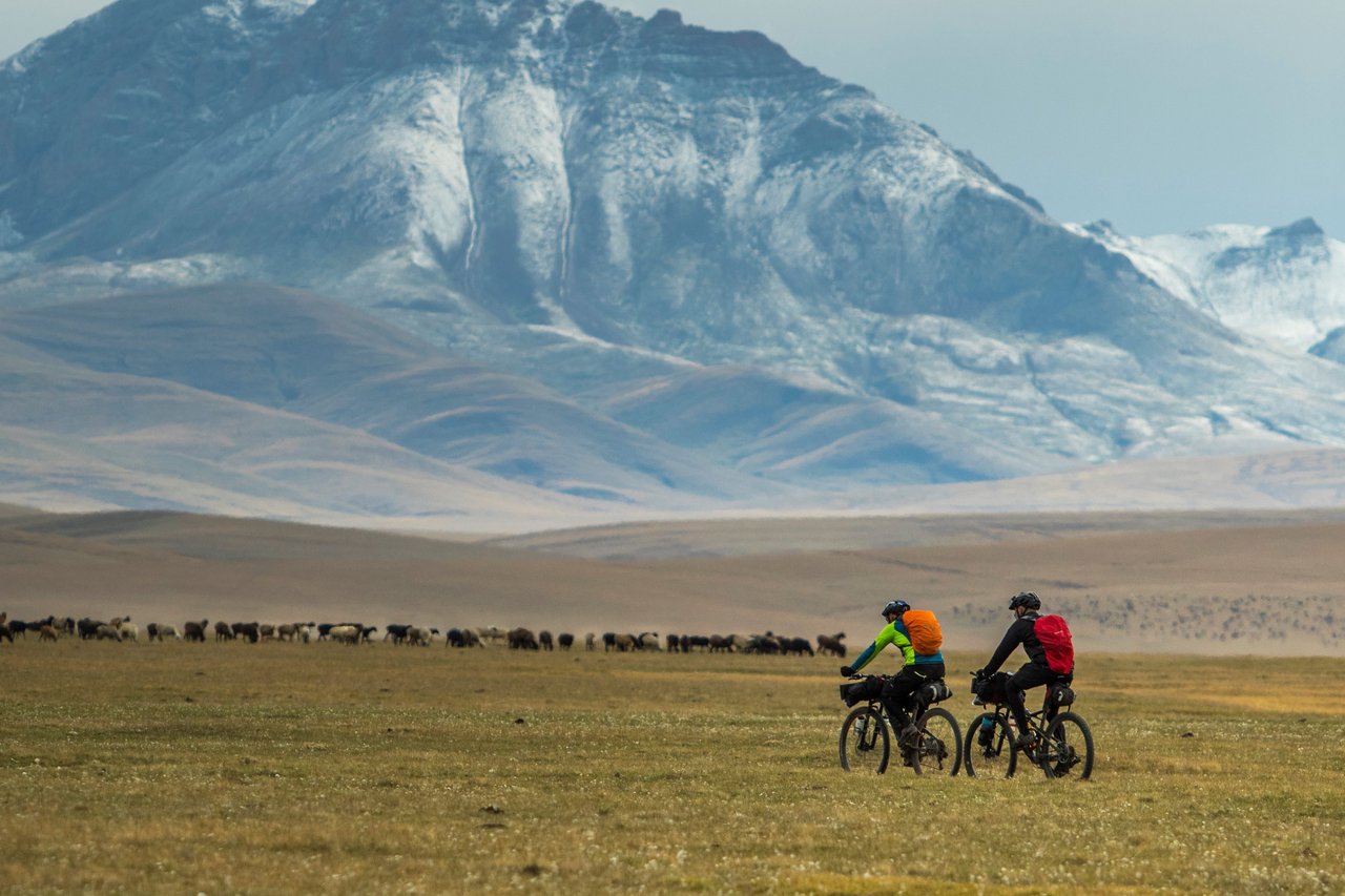 Two Silk Road Mountain Race riders on loaded bikes cross grassland past a flock of sheep below snowy peaks in Kyrgyzstan.