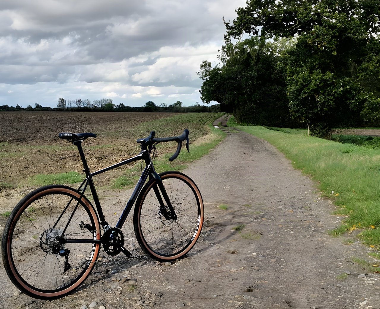 Pinnacle Arkose D3 gravel bike with tan-wall tyres stands on a gravel farm track beside a ploughed field.