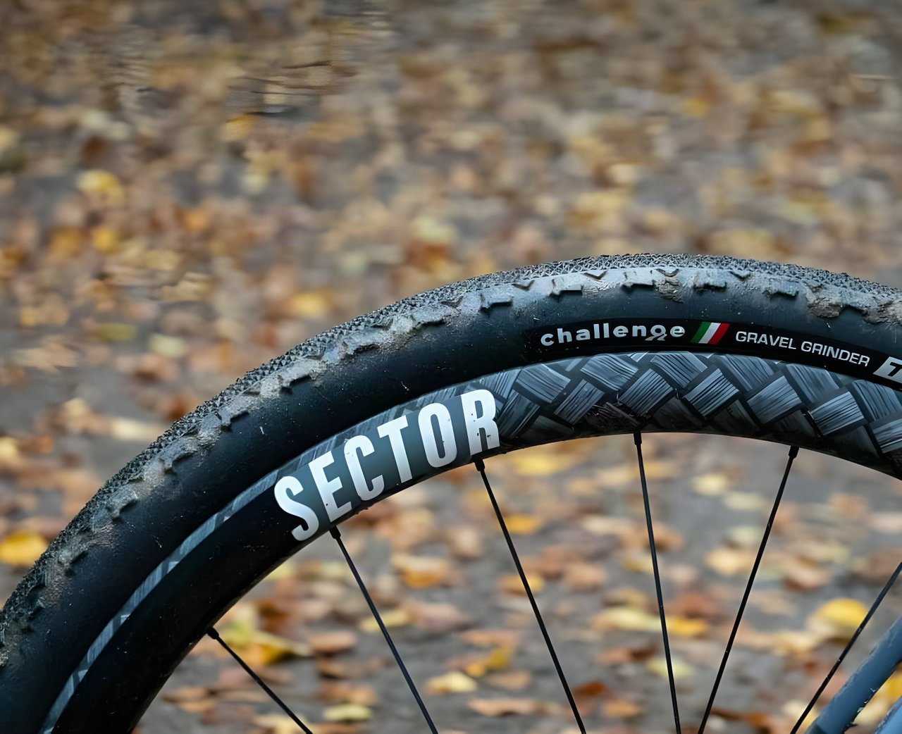 Sector GCi carbon gravel wheel with woven TeXtreme rim finish and a Challenge Gravel Grinder tyre among autumn leaves.