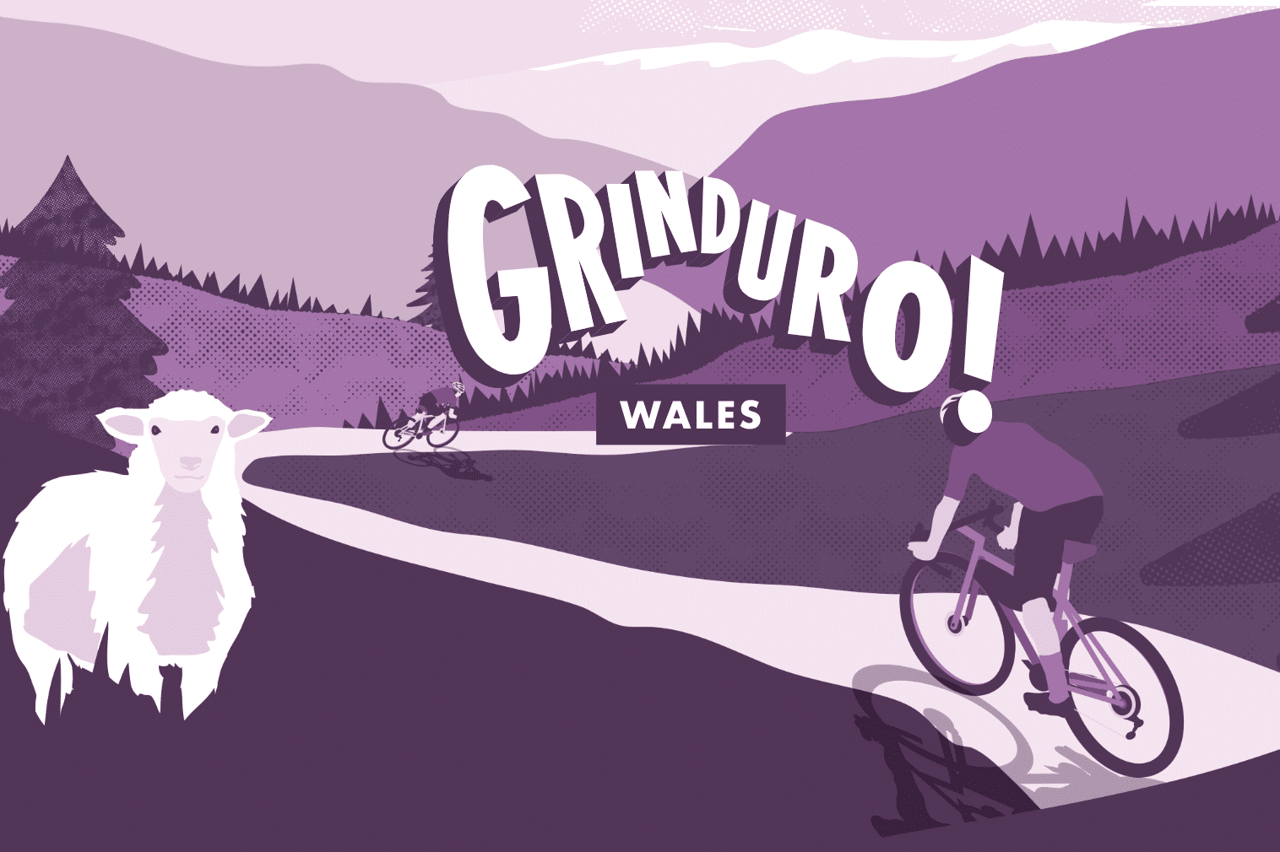 Grinduro Wales illustration of a rider descending a valley road past a sheep, in purple tones.