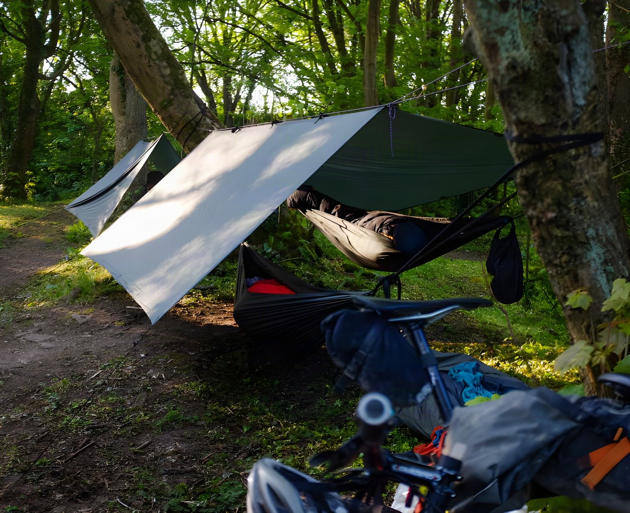 Two hammocks slung under tarps in woodland beside a loaded bikepacking bike, a typical hammock camping set-up.