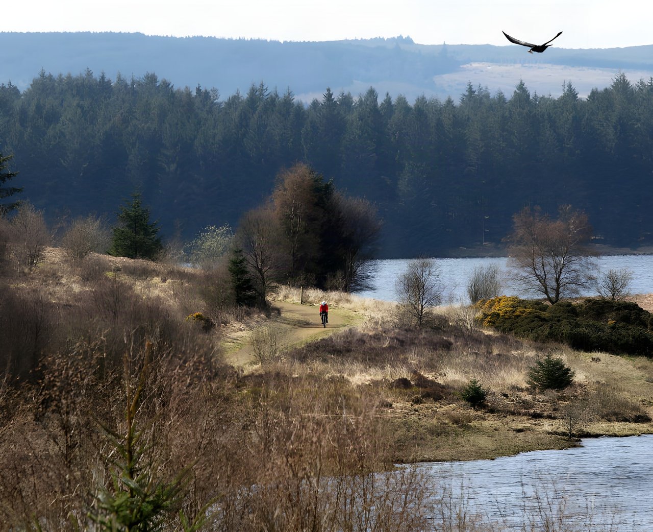 Lone rider in red on a gravel track beside a reservoir below conifer forest, the kind of terrain the Dirty Reiver covers.
