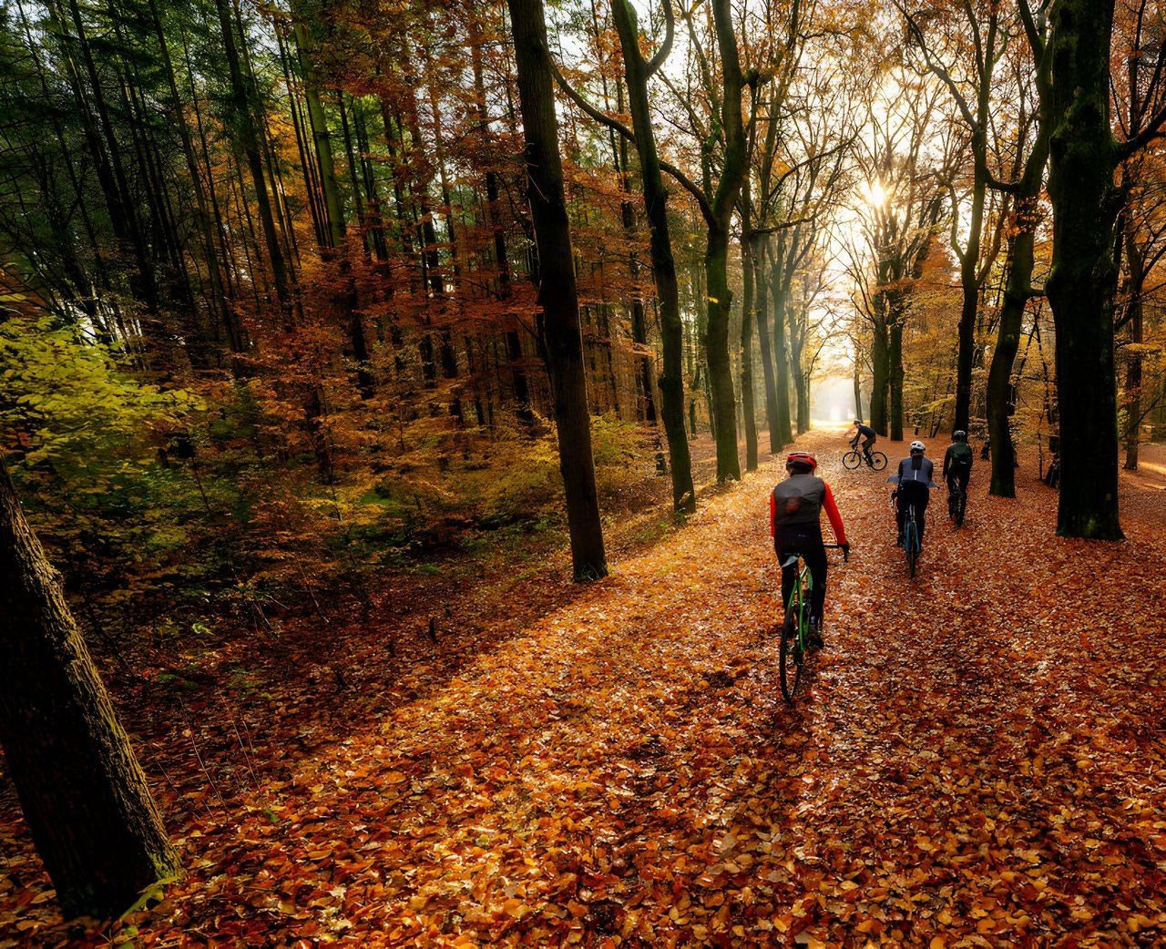 Group of gravel riders cycle along a leaf-covered forest track in low autumn sun as winter riding approaches.