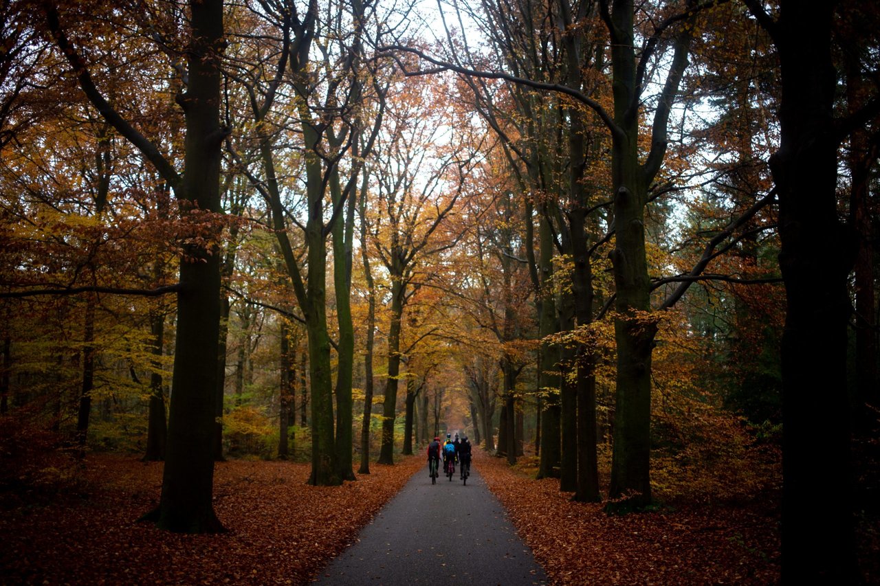 Three cyclists ride a tarmac lane through autumn woodland, header image for the AUTMNL ADVNTR photo challenge winners.