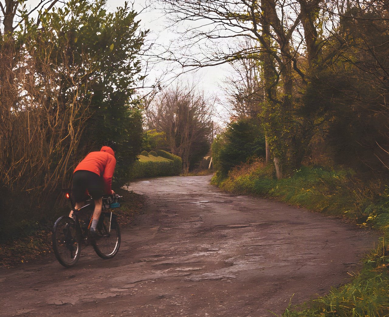 Rider on a gravel bike climbs a potholed lane lined with bare trees, recceing a basket Everesting hill on the Wirral.