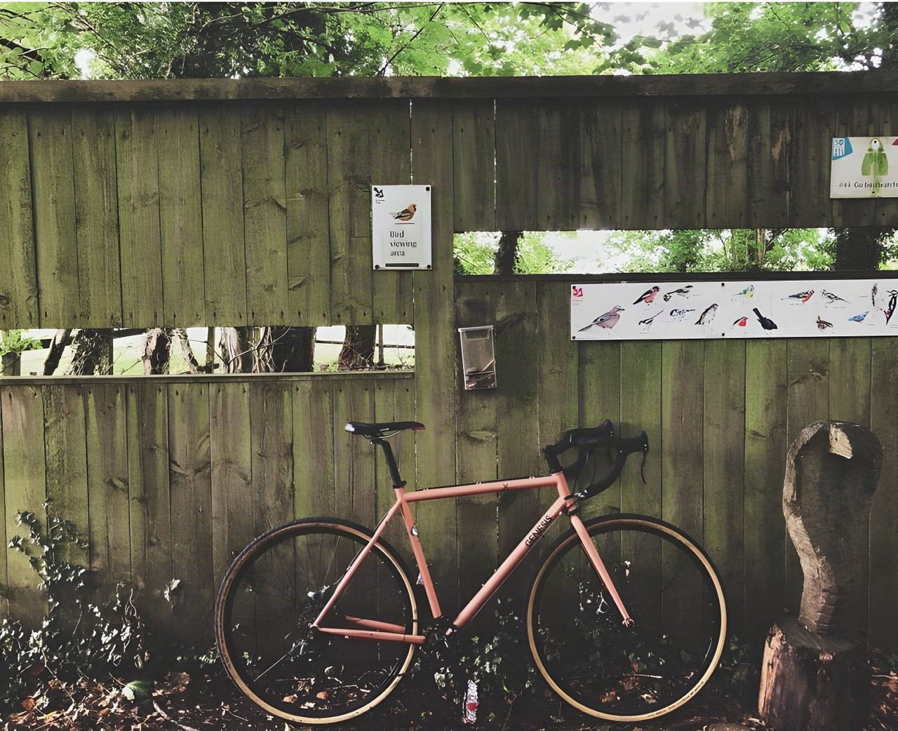 Abi Rose's coral pink Genesis Croix de Fer leans against a wooden bird hide with viewing slots and bird ID charts.