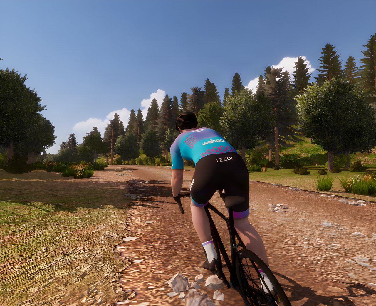 Rider seen from behind on a virtual gravel track through pine woods in RGT Cycling's Dirty Reiver route.