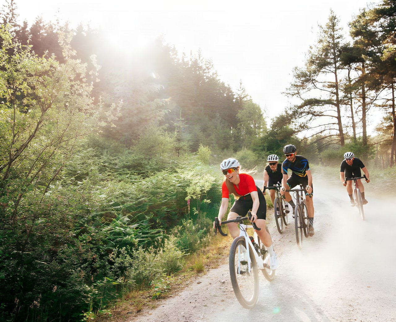 Four riders on gravel bikes kick up dust on a sunlit forest track near Aberfoyle, home of Gravelfoyle.