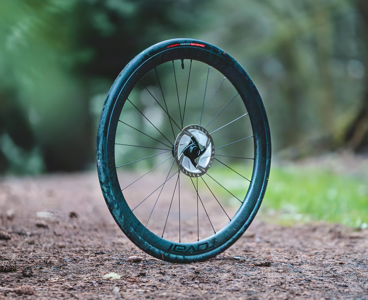 Roval Rapide C38 carbon disc wheel standing upright on a forest trail.