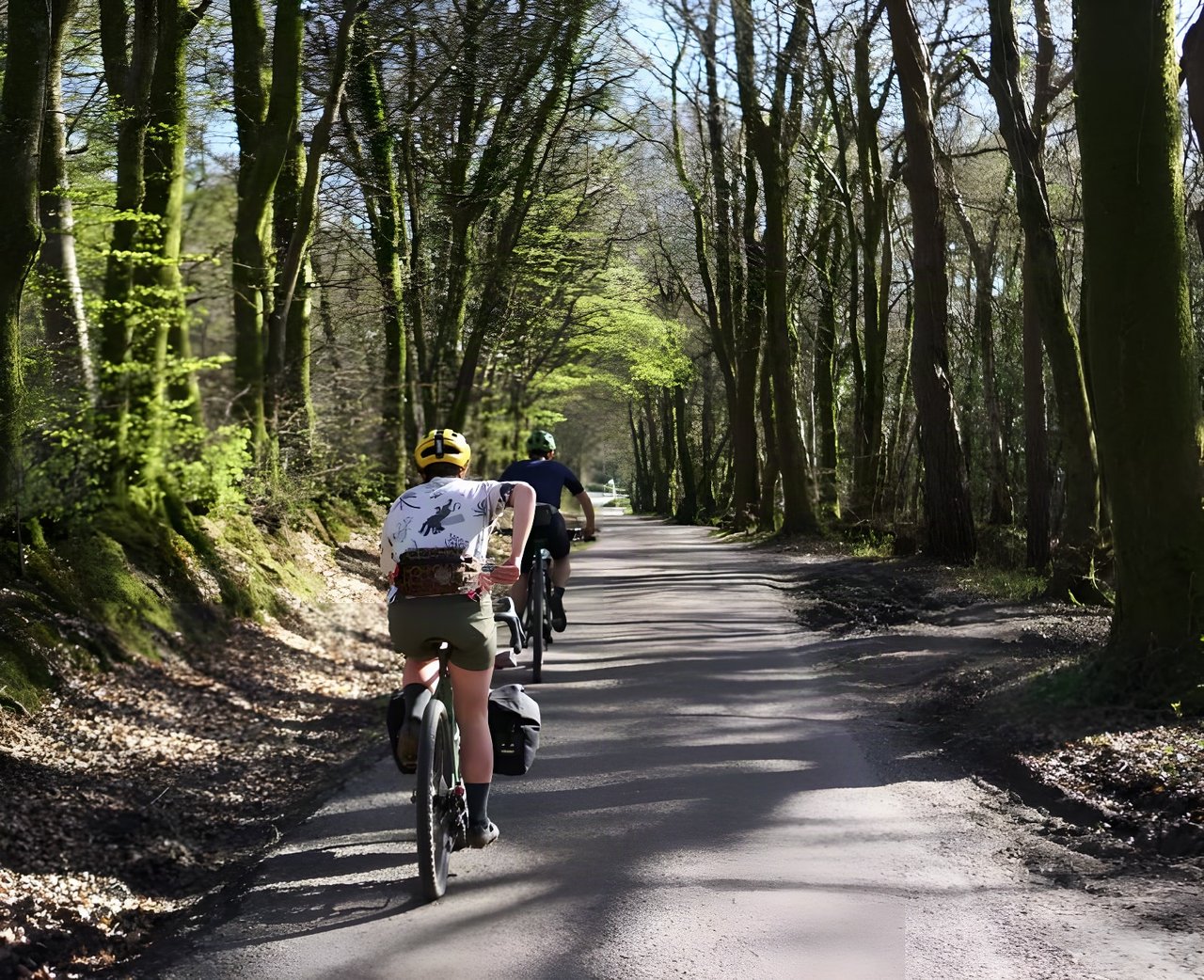 Two riders on loaded bikes in Machines For Freedom off-road kit ride down a tree-lined lane.
