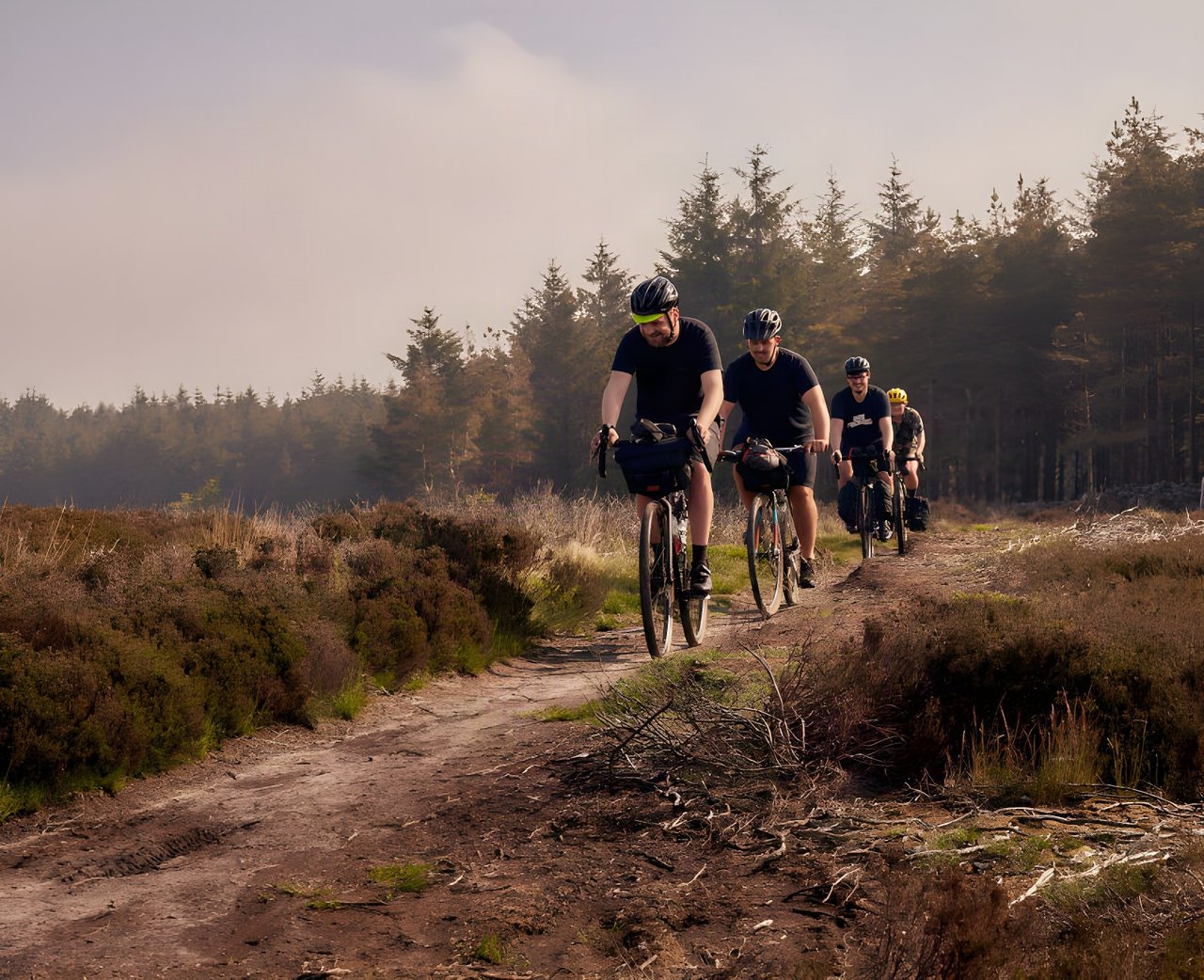 Four riders with bar bags ride single file along a heather track by pine forest on the Tour de Restrap overnighter.