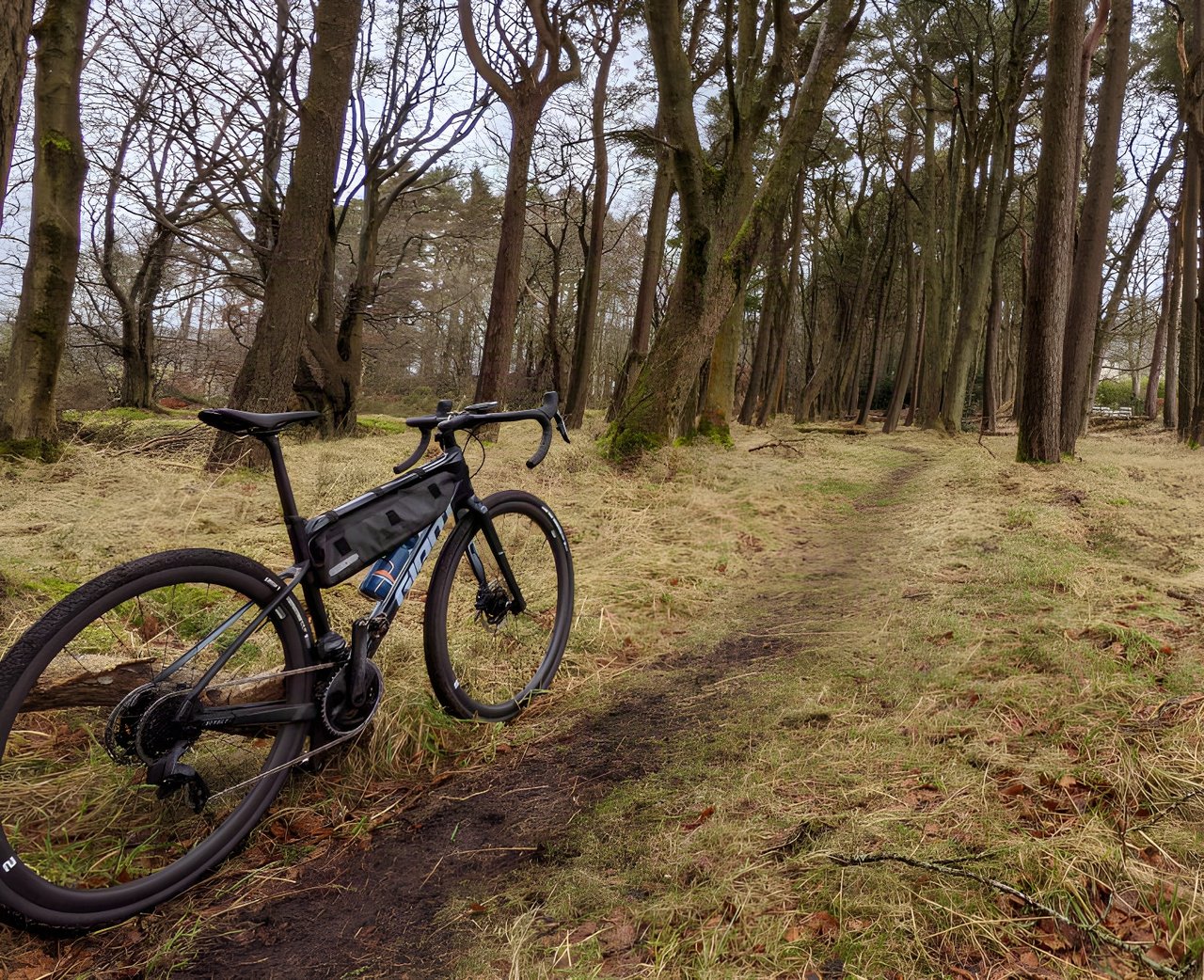 Giant Revolt Advanced Pro 0 gravel bike in Cosmos Navy standing on a grassy trail through bare woodland.