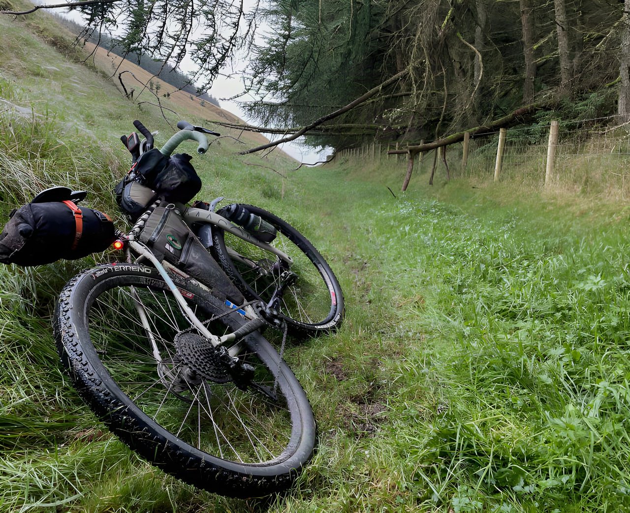 Muddy loaded bikepacking bike lies in long grass beside a forest fence line on the Second City Divide route.