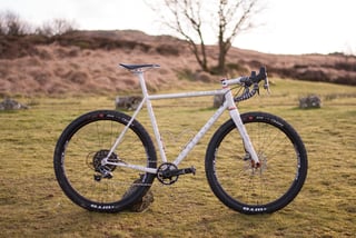 Side view of the finished Donard x Victory Chimp gairbhéal bike on grass, with moorland and a bare tree behind.