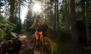 Rider on an All City Gorilla Monsoon rides a dirt trail through sunlit pine forest.