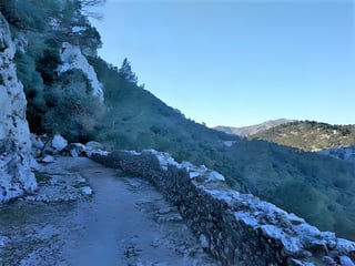 Stone-walled path cut into a steep Tramuntana hillside above a wooded valley, on the Mallorca MTB route.