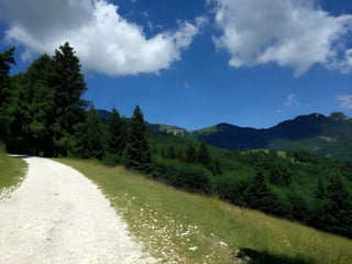 White gravel track curves past pine trees above wooded hills under a blue sky with scattered cloud.