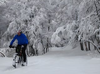 Fat biker wearing a Gore Wear Primaloft jacket rides fresh snow between heavily laden trees.