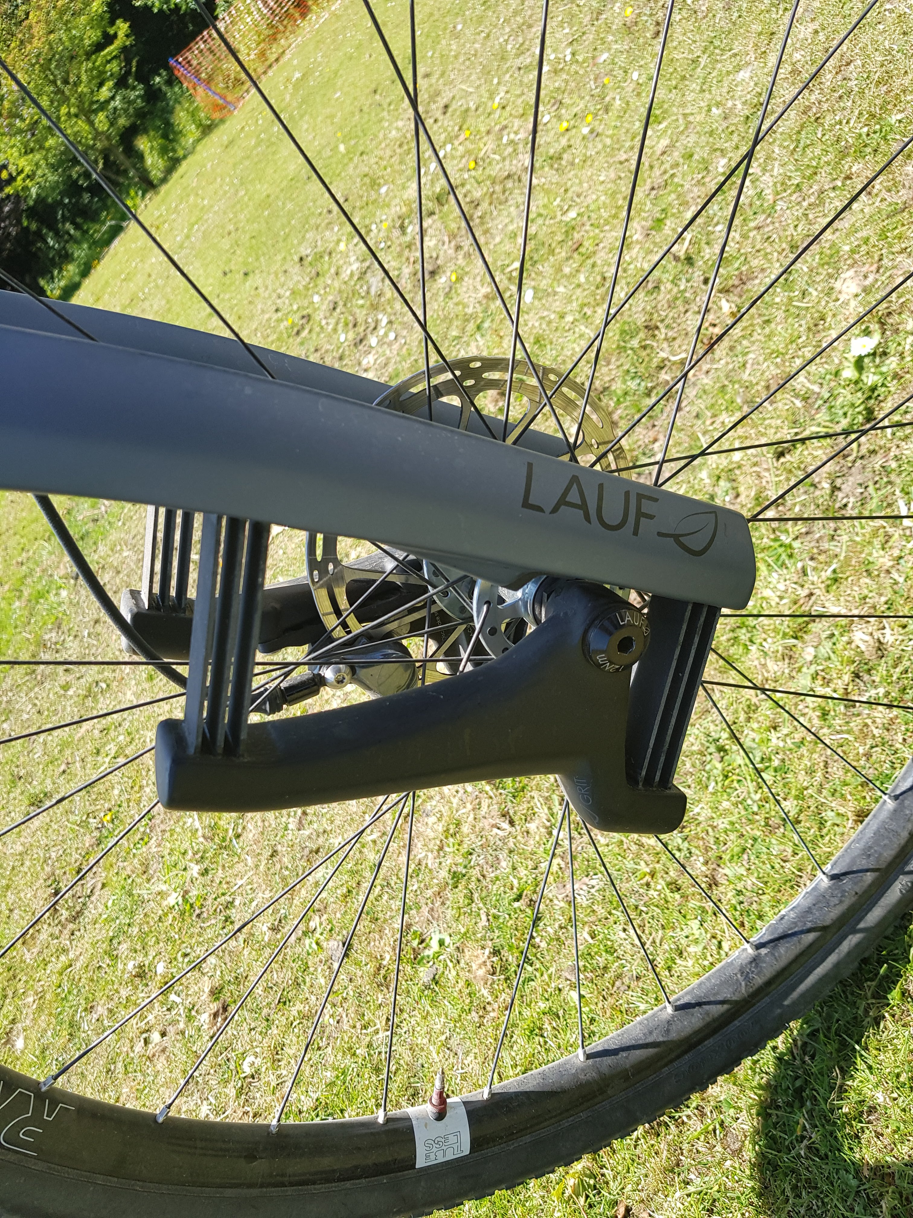 Lauf leaf-spring gravel fork on the True Grit seen from above, with the disc brake and spoked front wheel below.