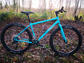 Side view of the teal Surly Bridge Club with WTB tyres, standing in leaf litter in woodland.