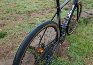 Rear three-quarter view of the Salsa Warroad showing the bowed seatstays, bronze hub and wide 650b tyre.