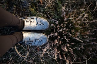 Silver Shimano RX8 gravel shoes beside frosted heather, seen from above during a daypacking stop.