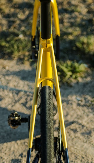 Wish One SUB from behind, its slender 14mm yellow seat stays framing the rear tyre.