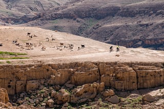 Two riders cycle past a grazing goat flock on a plateau above a rocky canyon in Jordan.