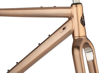 Salsa Stormchaser head tube, down tube cable port and carbon fork with mounts in close-up.