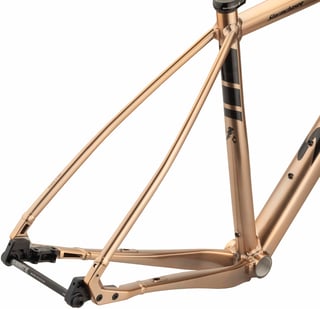 Salsa Stormchaser rear triangle with Alternator flat-mount dropouts, Class 5 VRS seatstays and a thru-axle.