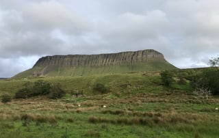 Flat-topped Ben Bulben rises above grassy fields and grazing sheep in County Sligo.