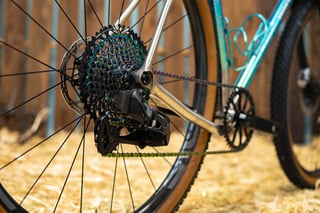 Rear wheel of the Prova Cycles Mostro with an oil-slick SRAM cassette and chain, rear mech and dropped titanium chainstay.