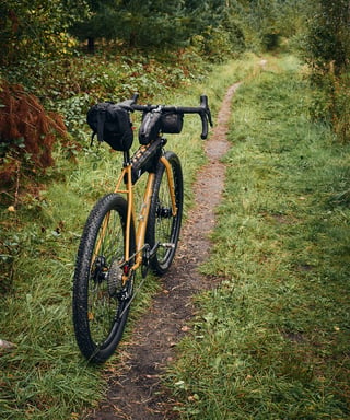 Fairlight Faran 2 with Straight Cut Design bags standing on a narrow grassy singletrack through woodland.